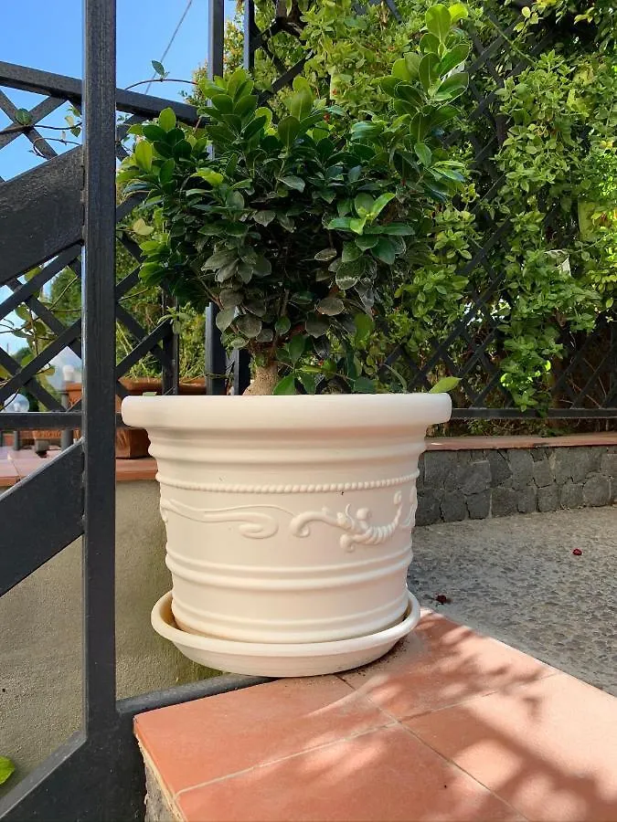 Etna Apartment Titani Mascalucia Holiday home